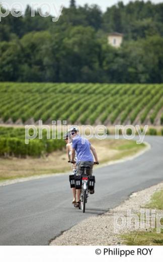 CYCLOTOURISME, VIGNOBLE DE BORDEAUX (33V32215.jpg)