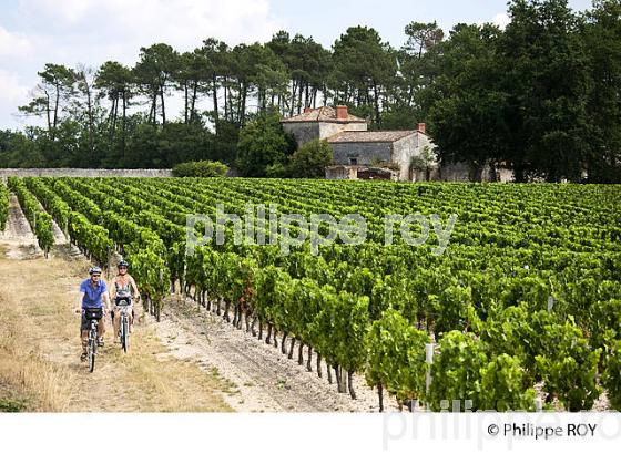CYCLOTOURISME, VIGNOBLE DE BORDEAUX (33V32220.jpg)