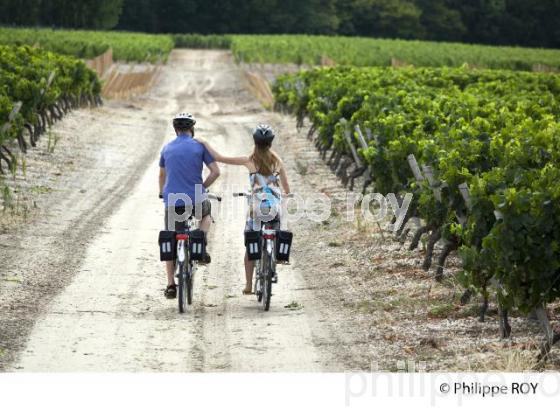 CYCLOTOURISME, VIGNOBLE DE BORDEAUX (33V32224.jpg)