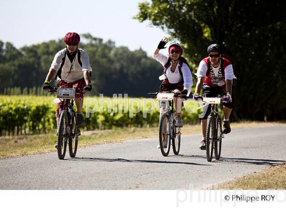COURSE VTT LA MEDOCAINE, VIGNOBLE DE MARGAUX, MEDOC (33V32411.jpg)