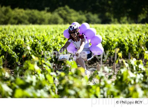 COURSE VTT LA MEDOCAINE, VIGNOBLE DE MARGAUX, MEDOC (33V32415.jpg)