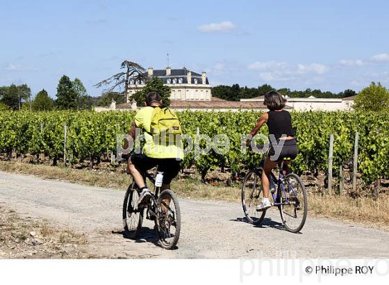 COURSE VTT LA MEDOCAINE, VIGNOBLE DE MARGAUX, MEDOC (33V32434.jpg)