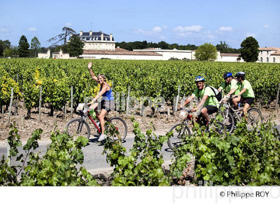 COURSE VTT LA MEDOCAINE, VIGNOBLE DE MARGAUX, MEDOC (33V32436.jpg)