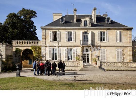 CHATEAU KIRWAN, VIN DE MARGAUX, GIRONDE (33V32802.jpg)