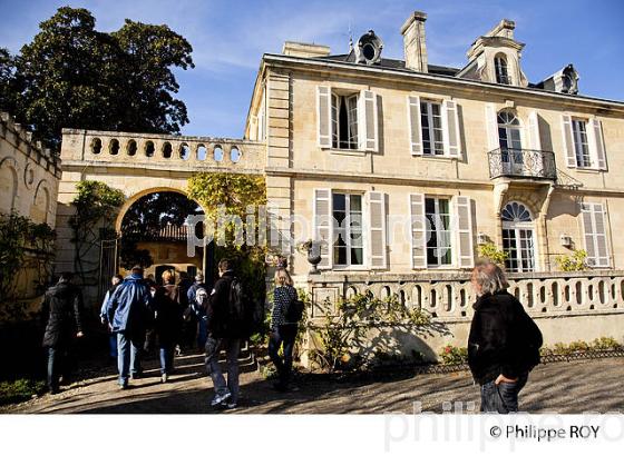 CHATEAU KIRWAN, VIN DE MARGAUX, GIRONDE (33V32803.jpg)