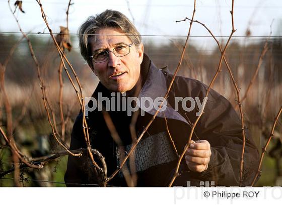TAILLE DE LA VIGNE EN MEDOC, GIRONDE, FRANCE (33V32918.jpg)