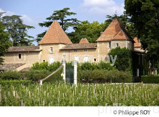 CHATEAU CARBONIEUX, VIN DE PESSAC LEOGNAN, GIRONDE (33V33128.jpg)