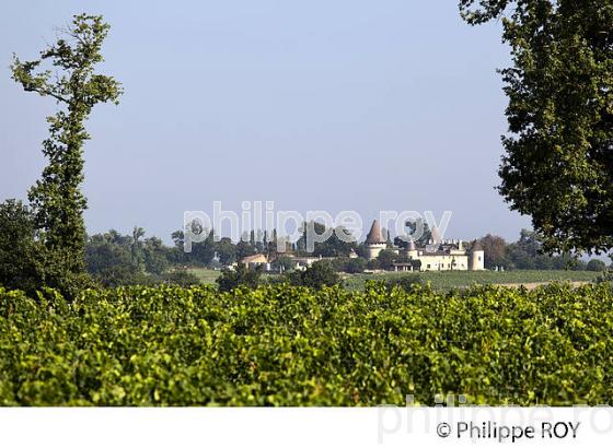 CHATEAU MOUCHAC, VIN DE BORDEAUX SUPERIEUR, GIRONDE (33V33129.jpg)