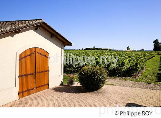 CHATEAU HAUT SEGOTTES, VIN DE SAINT EMILION, GIRONDE (33V33135.jpg)