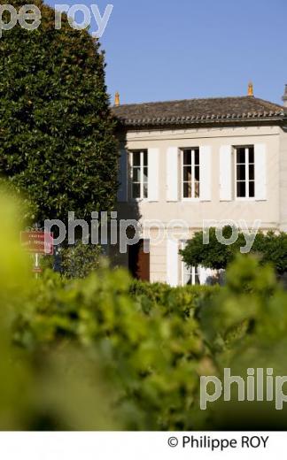 CHATEAU HAUT SEGOTTES, VIN DE SAINT EMILION, GIRONDE (33V33137.jpg)