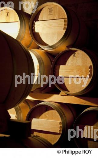 CHATEAU HAUT SEGOTTES, VIN DE SAINT EMILION, GIRONDE (33V33201.jpg)