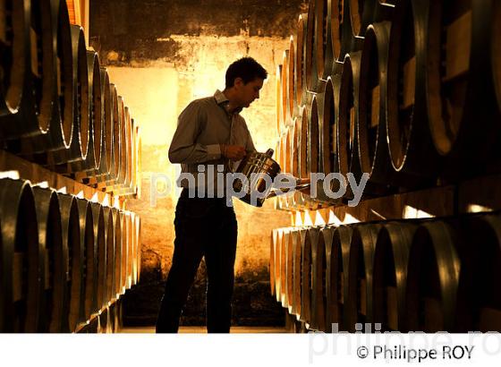 CHATEAU HAUT SEGOTTES, VIN DE SAINT EMILION, GIRONDE (33V33205.jpg)