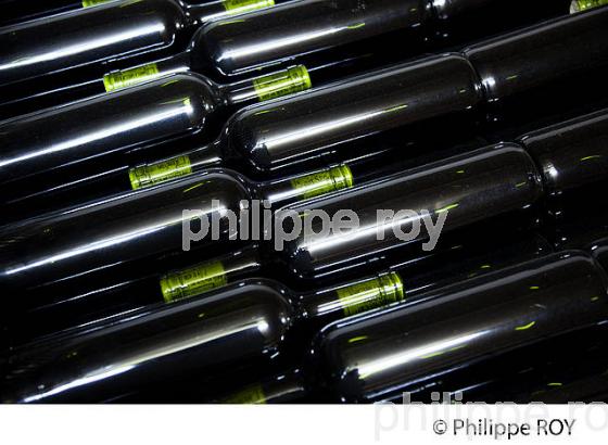 VIEILLISSEMENT DES VINS DE BORDEAUX, GIRONDE (33V33213.jpg)