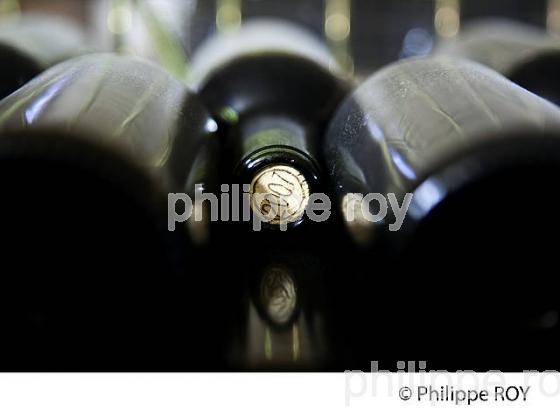 VIEILLISSEMENT DES VINS DE BORDEAUX, GIRONDE (33V33214.jpg)