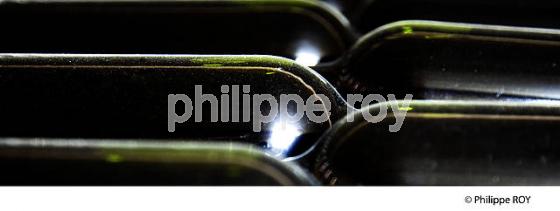 VIEILLISSEMENT DES VINS DE BORDEAUX, GIRONDE (33V33217.jpg)