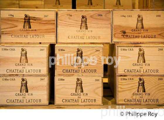 CHATEAU LATOUR, VIN DE PAUILLAC, GIRONDE (33V33504.jpg)