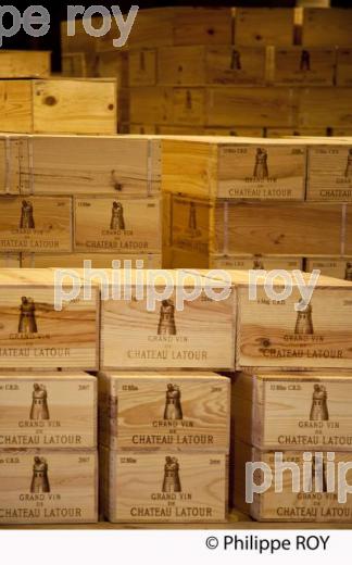 CHATEAU LATOUR, VIN DE PAUILLAC, GIRONDE (33V33505.jpg)