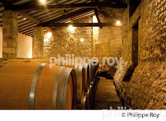 CHATEAU ESCURAC, VIN DU MEDOC, GIRONDE (33V33514.jpg)