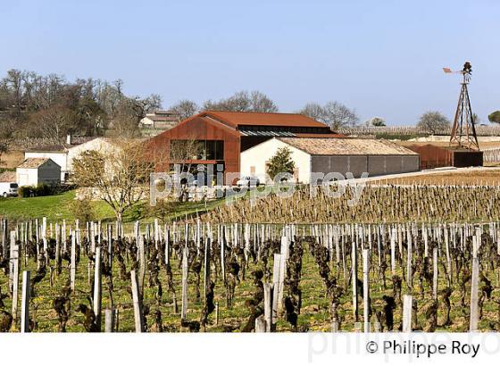 CHATEAU BARDE HAUT, VIN DE SAINT EMILION, GIRONDE (33V33606.jpg)