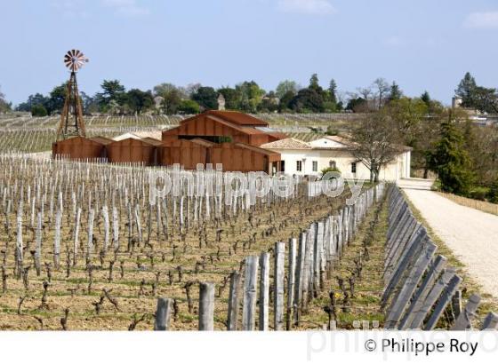 CHATEAU BARDE HAUT, VIN DE SAINT EMILION, GIRONDE (33V33607.jpg)