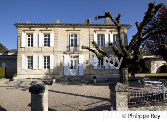 CHATEAU BEAUSEJOUR DUFFAU LAGARROSSE, VIN DE SAINT EMILION, GIRONDE (33V33610.jpg)
