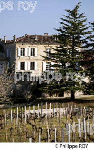CHATEAU BEAUSEJOUR DUFFAU LAGARROSSE, VIN DE SAINT EMILION, GIRONDE (33V33613.jpg)