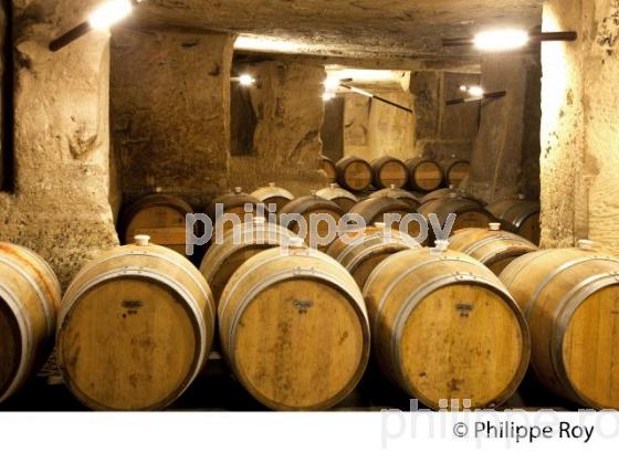 CHATEAU BEAUSEJOUR DUFFAU LAGARROSSE, VIN DE SAINT EMILION, GIRONDE (33V33618.jpg)