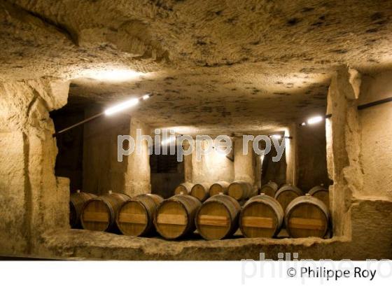 CHATEAU BEAUSEJOUR DUFFAU LAGARROSSE, VIN DE SAINT EMILION, GIRONDE (33V33620.jpg)
