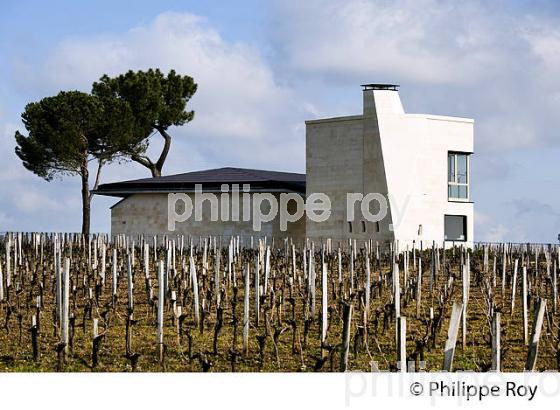 CHATEAU DU PIN, VIN DE POMEROL, GIRONDE (33V33625.jpg)