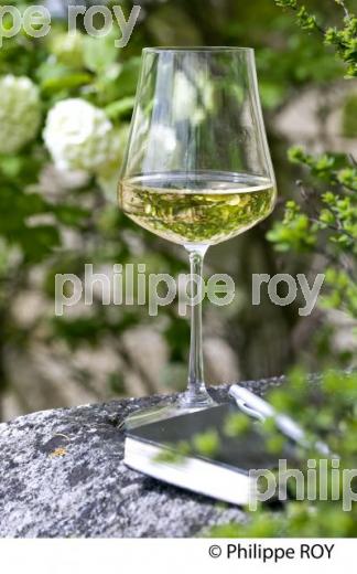 VERRE DE VIN BLANC DANS LA NATURE, VINS DE BORDEAUX (33V33640.jpg)