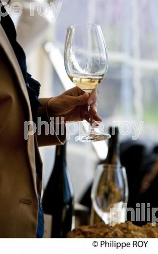 DEGUSTATION PROFESSIONNELLE DE VINS PRIMEURS BORDELAIS (33V33711.jpg)