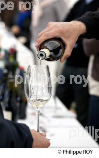 DEGUSTATION PROFESSIONNELLE DE VINS PRIMEURS BORDELAIS (33V33713.jpg)