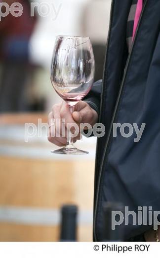 DEGUSTATION PROFESSIONNELLE DE VINS PRIMEURS BORDELAIS (33V33715.jpg)