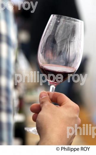 DEGUSTATION PROFESSIONNELLE DE VINS PRIMEURS BORDELAIS (33V33716.jpg)