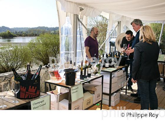 DEGUSTATION PROFESSIONNELLE DE VINS PRIMEURS BORDELAIS (33V33721.jpg)