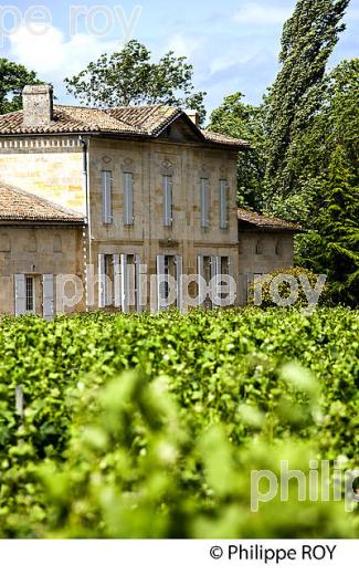 CHATEAU LA DOMINIQUE, VIN DE SAINT EMILION, GIRONDE (33V33824.jpg)