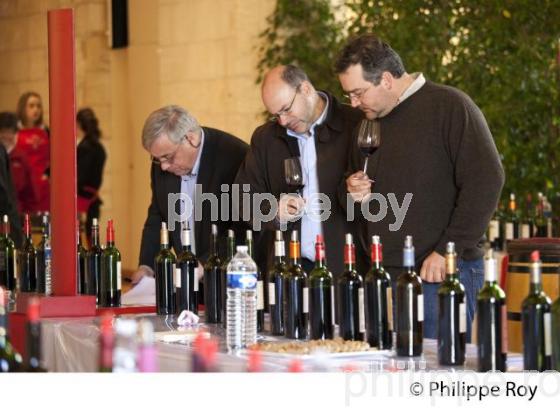 DEGUSTATION DES VINS PRIMEURS BORDELAIS (33V33912.jpg)