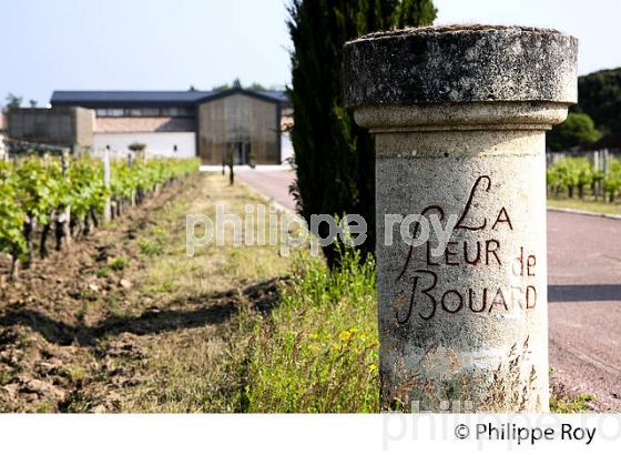 CHATEAU LA FLEUR SAINT GEORGES, VIN DE LALANDE DE POMEROL, GIRONDE (33V33917.jpg)