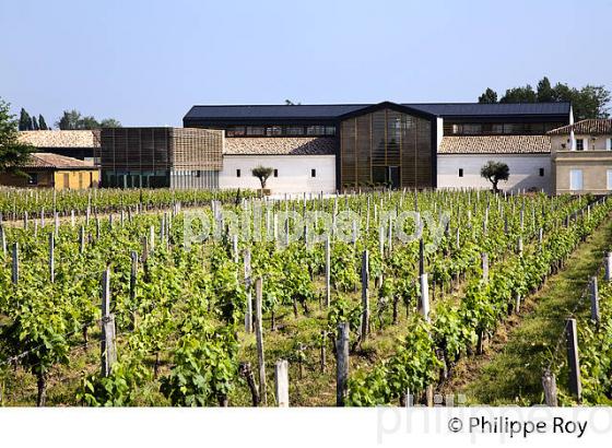 CHATEAU LA FLEUR SAINT GEORGES, VIN DE LALANDE DE POMEROL, GIRONDE (33V33919.jpg)
