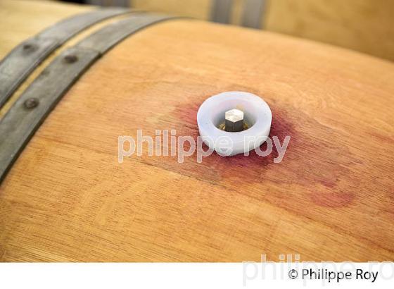CHATEAU CHEVAL BLANC, VIN DE SAINT EMILION, GIRONDE (33V34210.jpg)