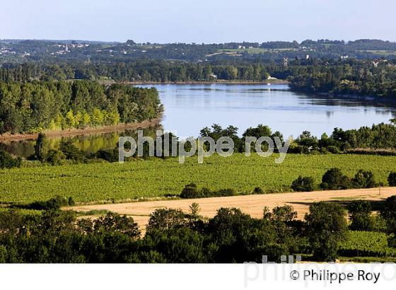 VIGNOBLE DE FRONSAC ET LA DORDOGNE, GIRONDE (33V34314.jpg)
