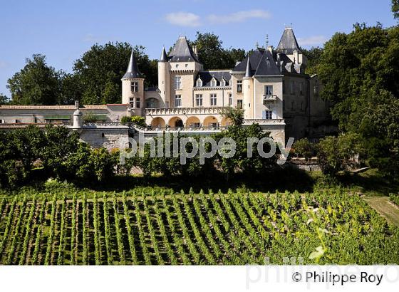 CHATEAU LA RIVIERE, VIN DE FRONSAC, GIRONDE (33V34337.jpg)