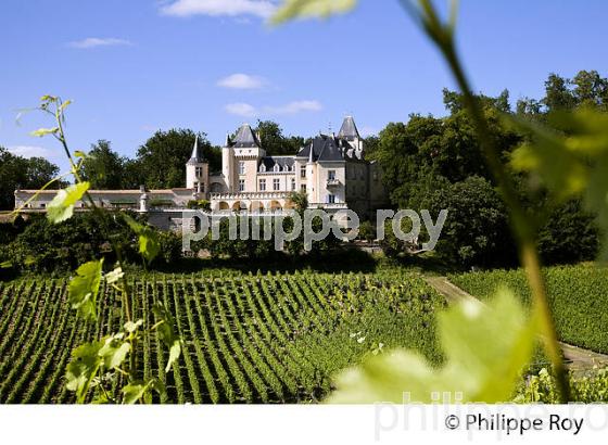CHATEAU LA RIVIERE, VIN DE FRONSAC, GIRONDE (33V34339.jpg)