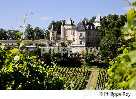 CHATEAU LA RIVIERE, VIN DE FRONSAC, GIRONDE (33V34340.jpg)