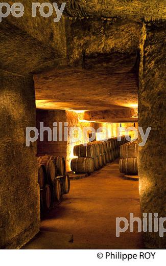 CHATEAU LA RIVIERE, VIN DE FRONSAC, GIRONDE (33V34411.jpg)