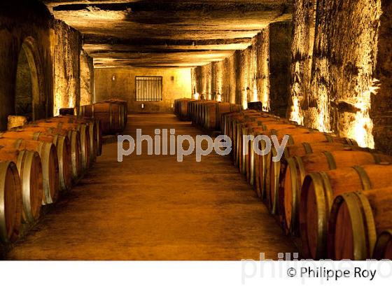 CHATEAU LA RIVIERE, VIN DE FRONSAC, GIRONDE (33V34416.jpg)