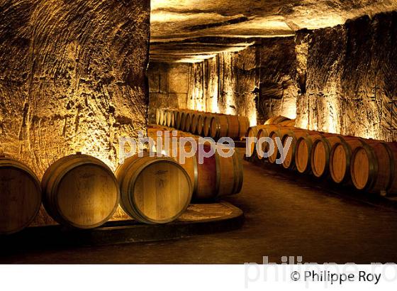 CHATEAU LA RIVIERE, VIN DE FRONSAC, GIRONDE (33V34420.jpg)