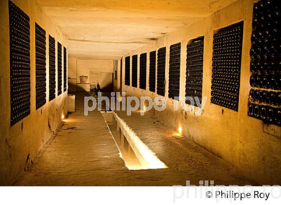 CHATEAU LA RIVIERE, VIN DE FRONSAC, GIRONDE (33V34426.jpg)