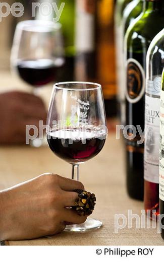FETE DU VIN, BORDEAUX, GIRONDE (33V34623.jpg)