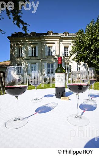 CHATEAU TESSENDEY, VIN DE FRONSAC, GIRONDE (33V34701.jpg)